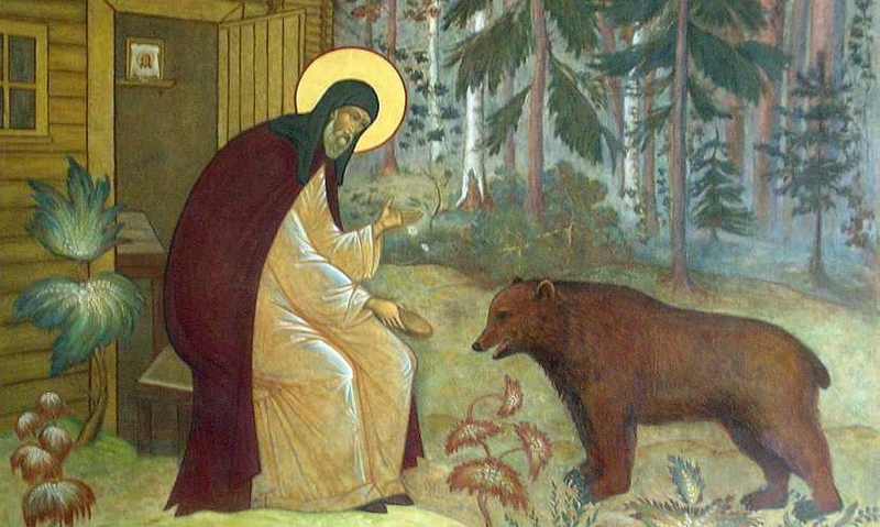 Изображение статьи