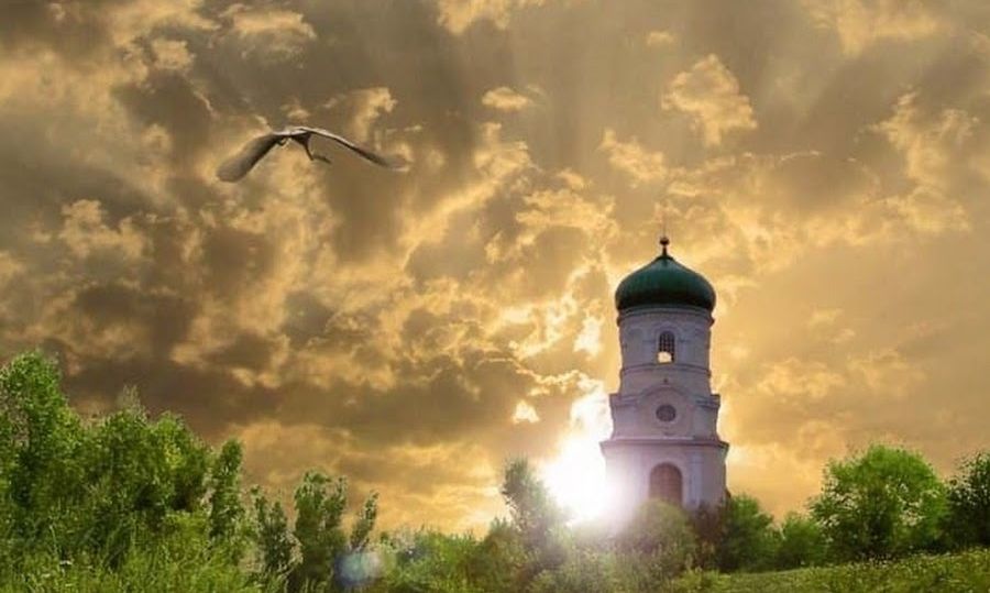 Изображение статьи