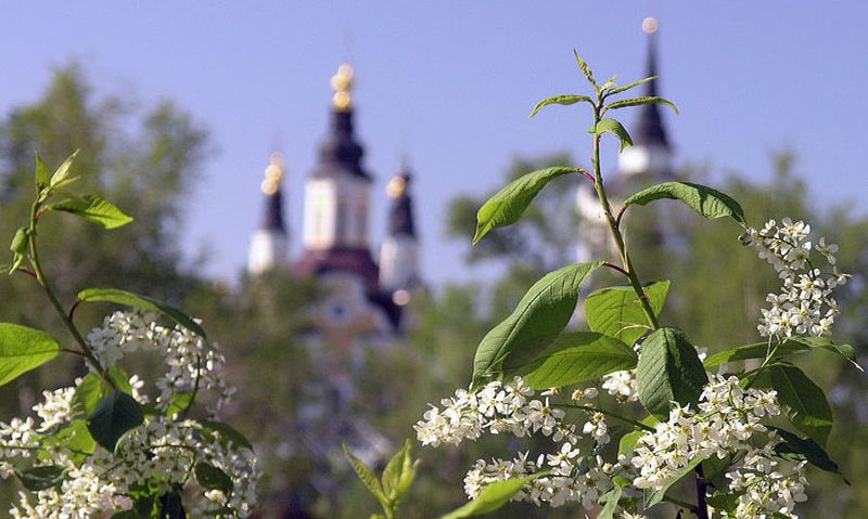 Изображение статьи